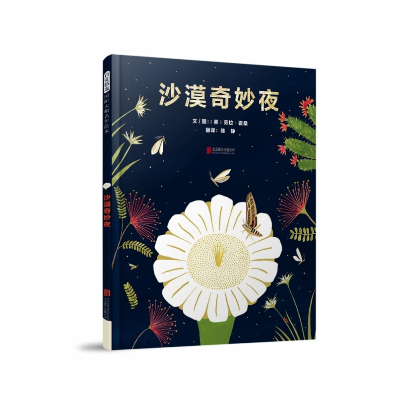 沙漠奇妙夜  正版书籍