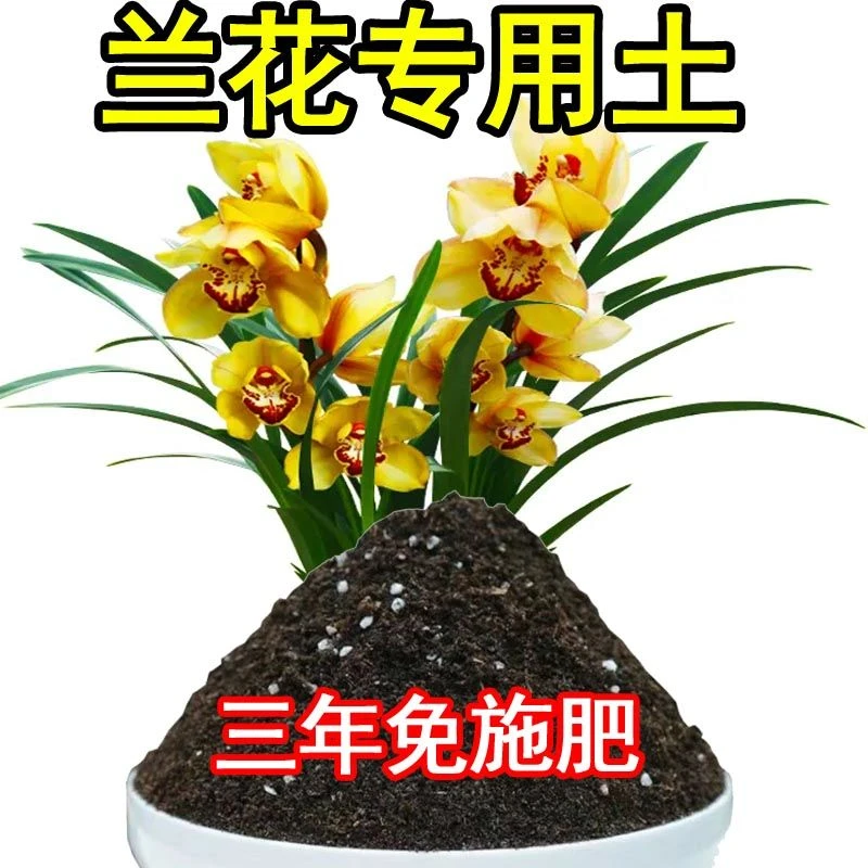兰花专用土兰花营养土阳台种花养花盆栽土室内花卉土吊兰土有机肥