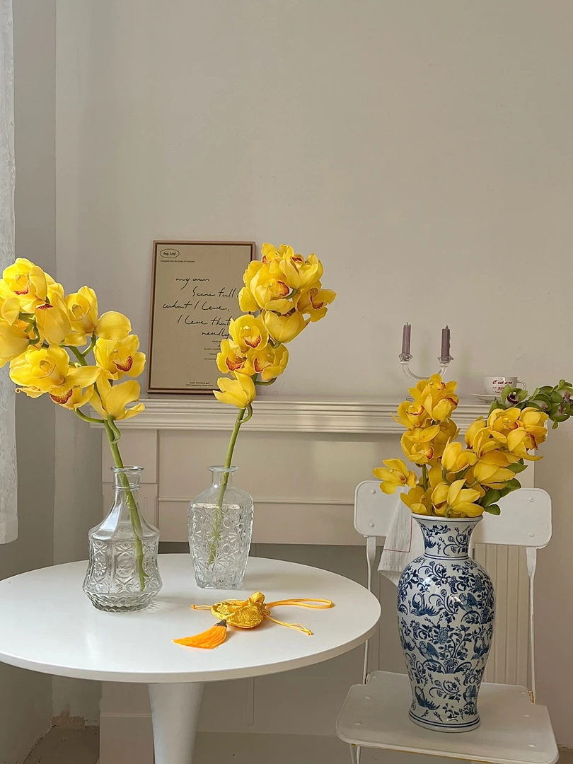 金玉满堂大花惠兰黄色鲜切花水培年宵花