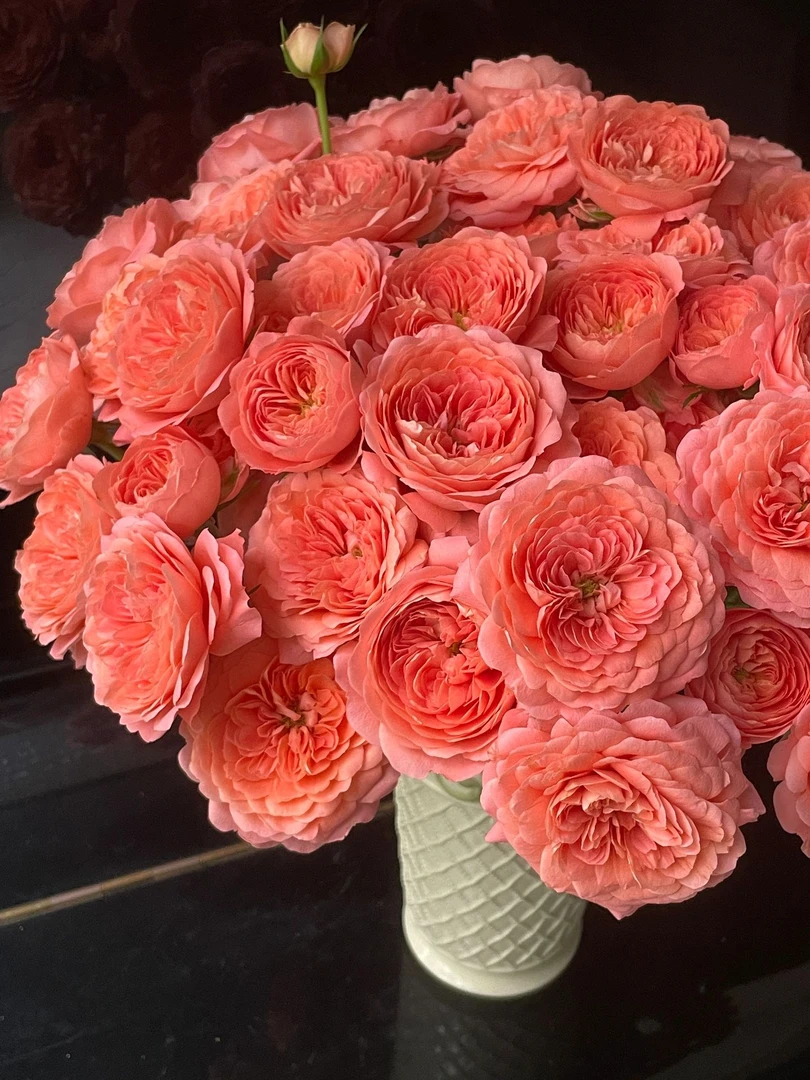 杏色果汁多头玫瑰奥斯丁花型水培鲜花