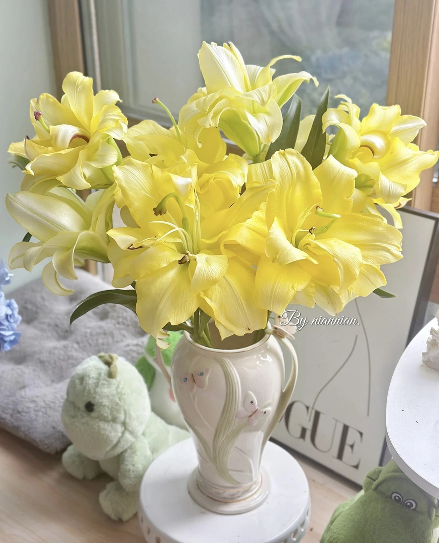 异国阳光重瓣百合金黄色系有香味水培鲜花