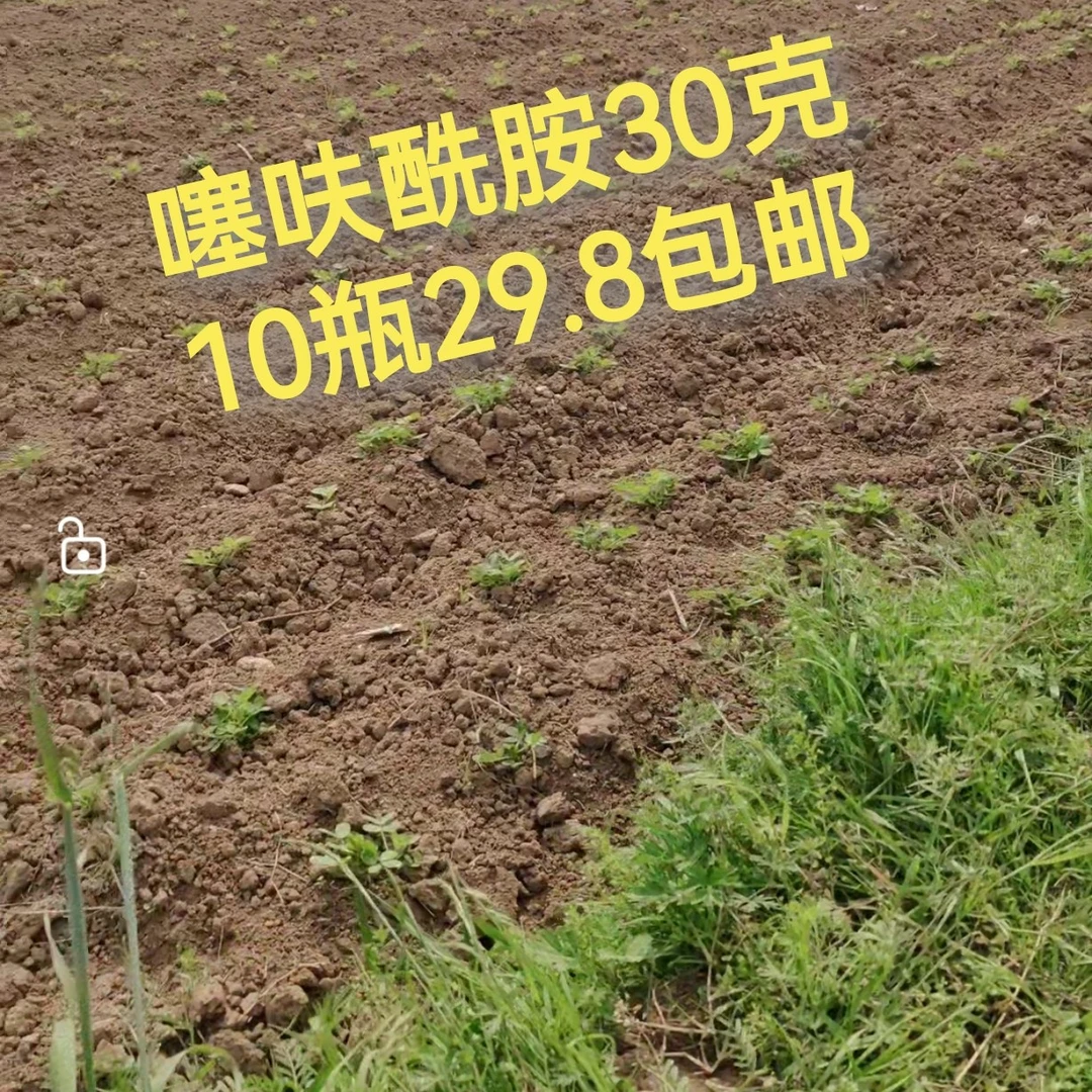 噻呋酰胺30克10瓶29.8包邮