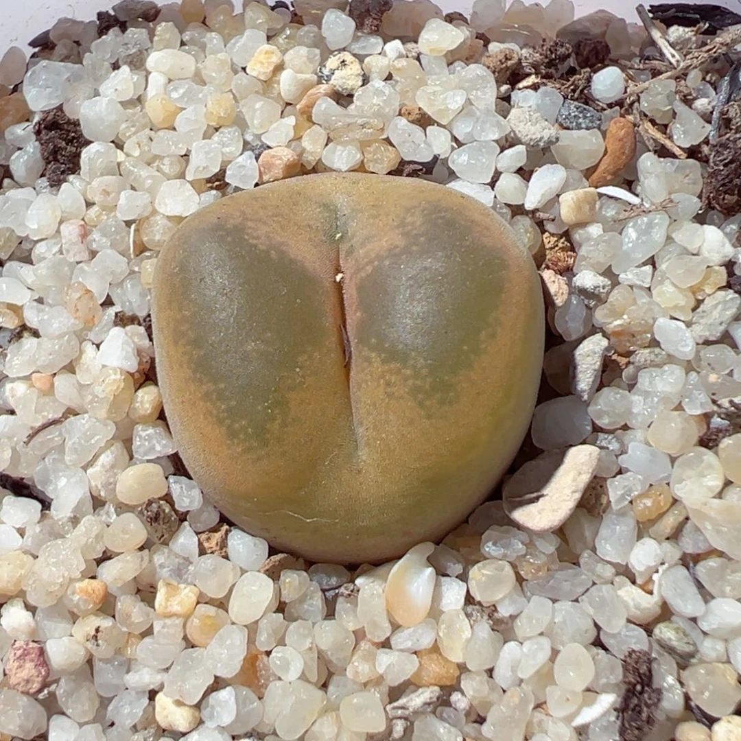 820-380.我的心都是