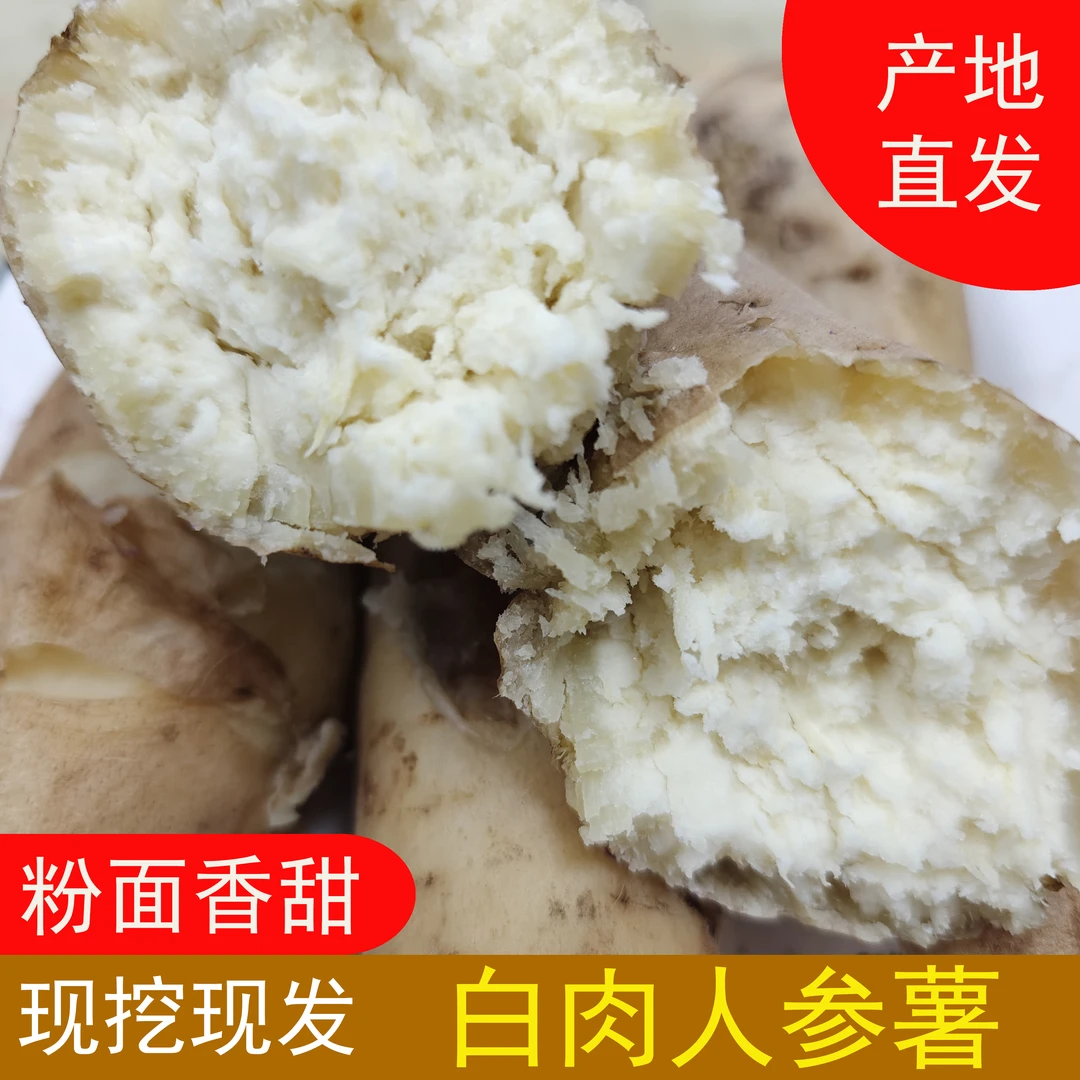 新鲜粉香噎喉白肉人参薯广东产地直发3/5/9斤