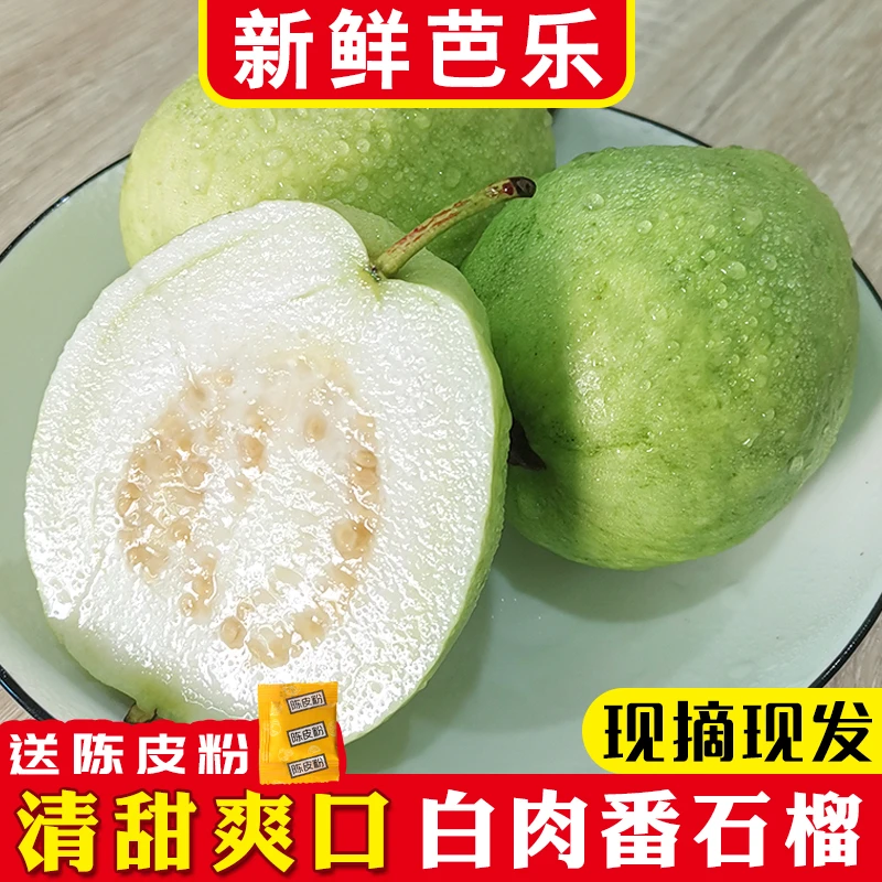 高州新鲜现摘白心番石榴白肉芭乐清甜硬脆低糖水果3/5/9斤