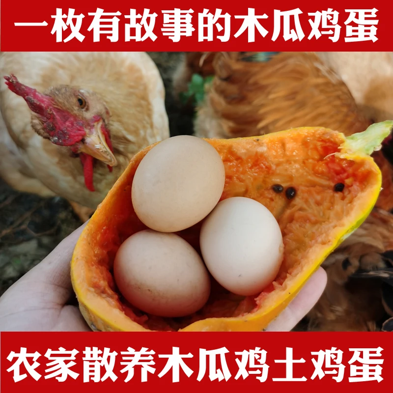 木瓜鸡鸡蛋30枚果园放养农家土鸡蛋现捡发货新鲜散养鸡蛋健康红心