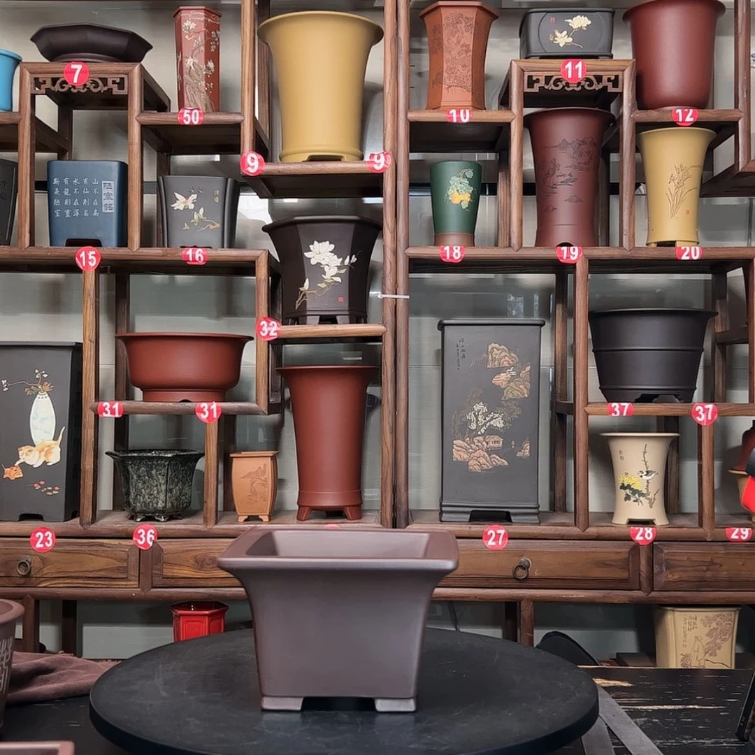 【闪购商品】紫砂花盆草*