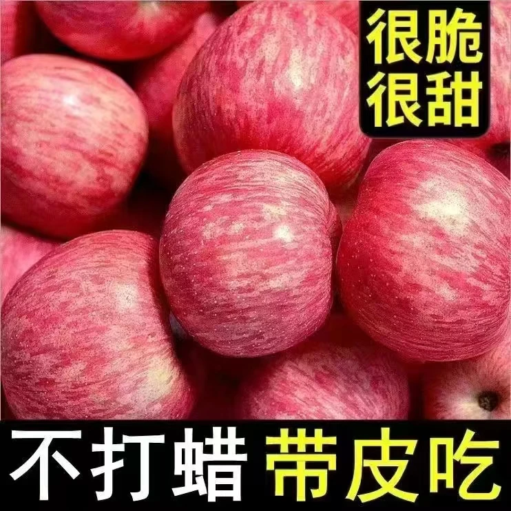 【脆甜】陕西红富士苹果新鲜水果当季脆甜多汁整箱9.5-10斤包邮7