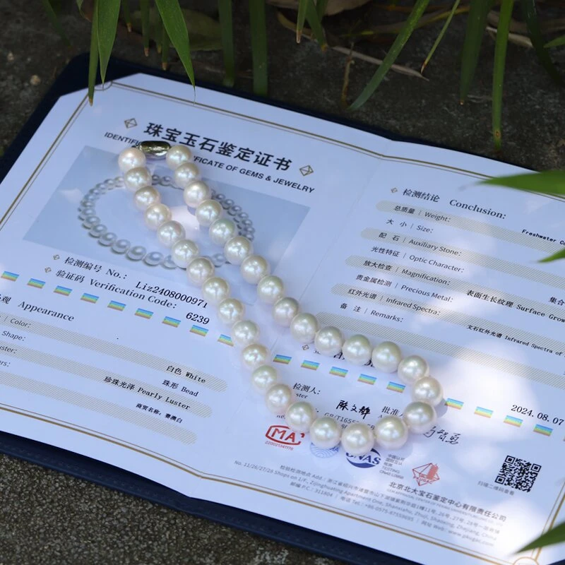 淡水“赛澳白” 大点位 12-14mm 时尚 气质 百搭 经典s925银元宝扣