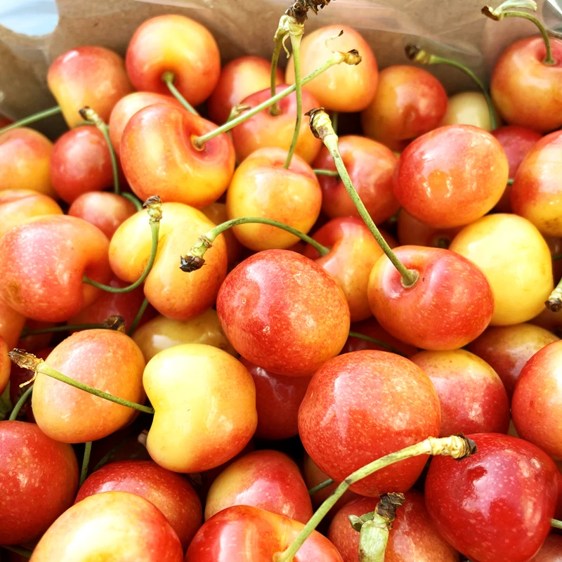 智利雷尼尔黄车金车原箱2J4.4斤装顺丰包邮嘉兴水果市场发货