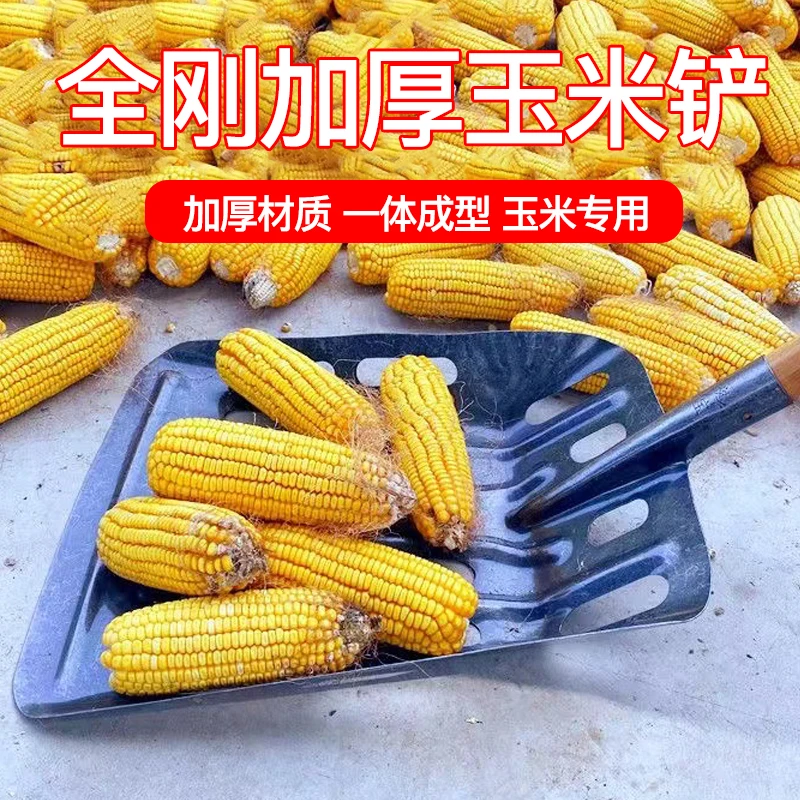 新款锰钢玉米铲玉米专用铁锹漏粒簸箕锹玉米叉子入屯空心玉米锹