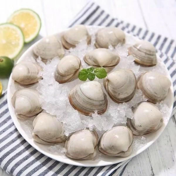 丹东东港特大白蚬子1斤17-19粒3斤/4斤/5斤/箱保鲜活有水分流失