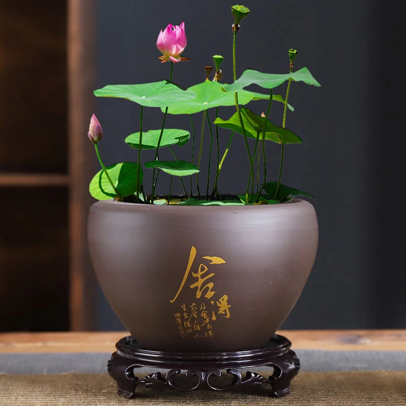 大号碗莲专用盆无孔花盆睡莲一叶莲缸铜钱草陶瓷盆水培花盆荷花缸
