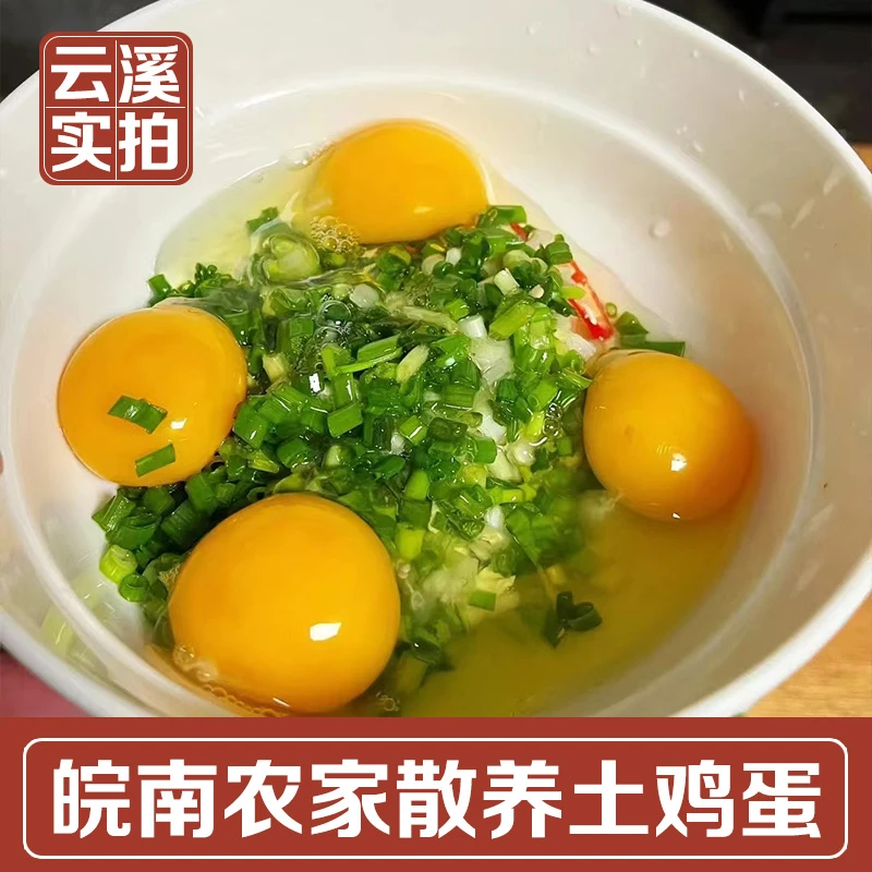 皖南农家土鸡蛋当日现捡50枚