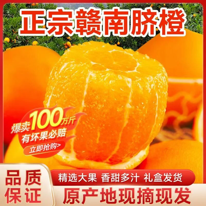 正宗赣南脐橙3/5斤现摘现发橙味充足细腻爆汁原产地采摘皮薄