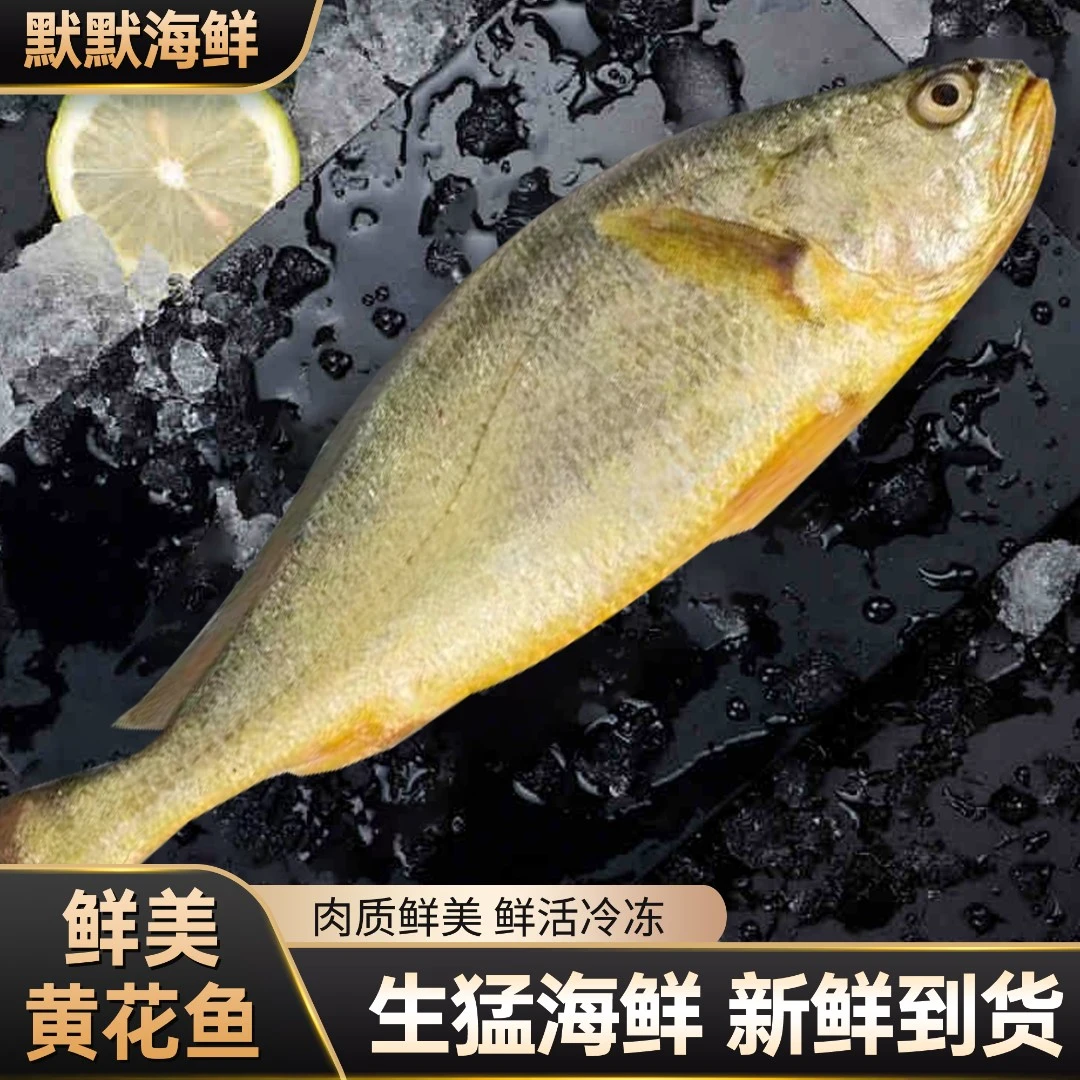 /黄花鱼/8/4条独立包装新鲜速冻8两-1.5斤/条尝鲜清蒸浪漫七夕礼