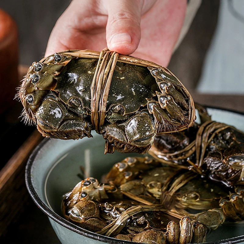 【卡券】湖中居牌大闸蟹礼券型公蟹4.0两/5只母蟹2.8两/5只