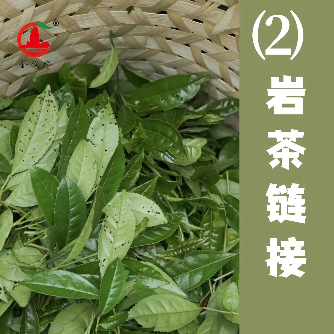 纾晚福利肉桂老丛组合（两泡）