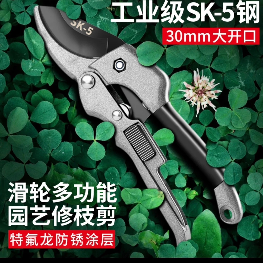 边水工具剪枝修枝剪刀果树园林园艺剪修剪树枝花艺剪省力大粗枝剪