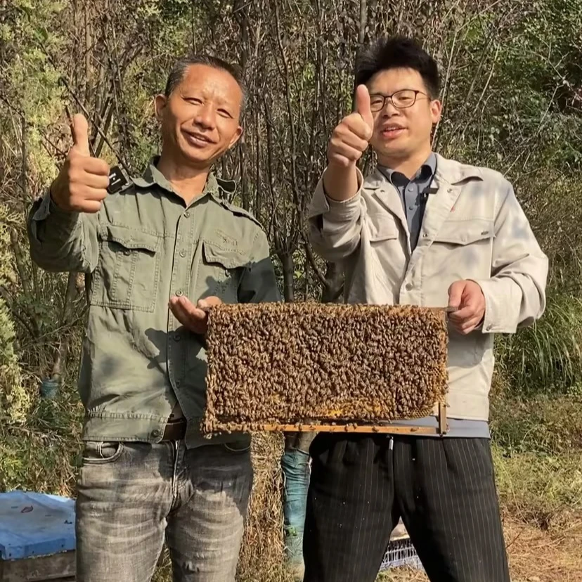 黟县泗县农家蜂蜜土蜂蜜百花蜜山花蜜树花蜜——【塔川集市】