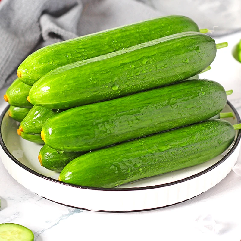 【方坔】水果小黄瓜新鲜2.5斤脆嫩爽口