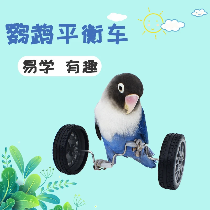鹦鹉玩具解闷小鸟平衡车陪伴道具虎皮牡丹滑轮技能训练玄凤鸟玩具