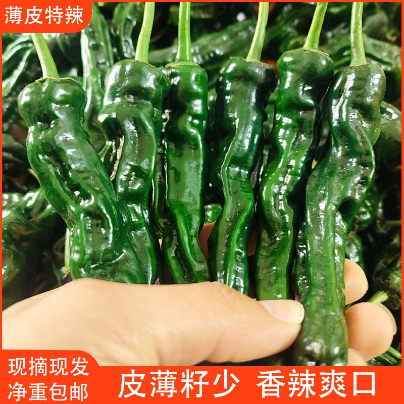 新鲜特辣辣椒小邹皮辣椒现摘现发青辣椒薄皮超辣小皱皮农家自种