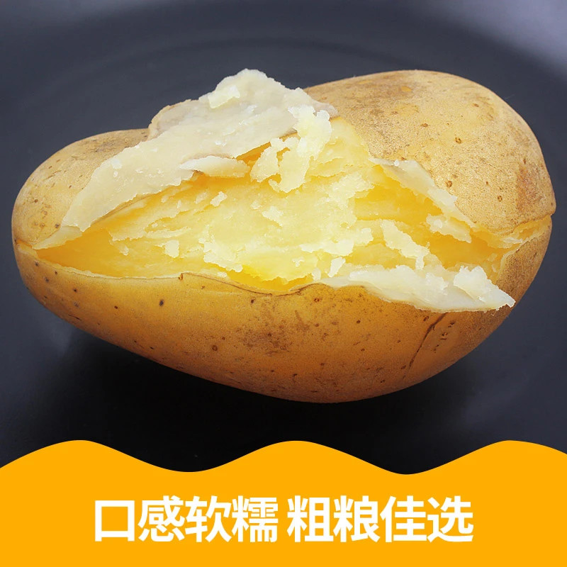 四川现挖黄心土豆沙面软糯农家自种马铃薯小洋芋新鲜应季蔬菜包邮