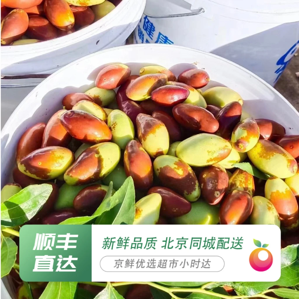 【密云现摘马牙枣】4斤装福利-马牙枣成熟啦！嘎嘣脆、自然甜马牙枣~