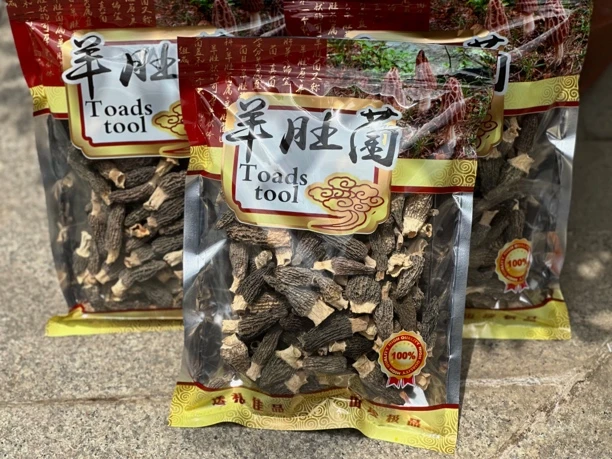 精品头茬高山羊肚菌干货 肉质肥厚 煲汤佳品3-5规格厚肉羊肚菌