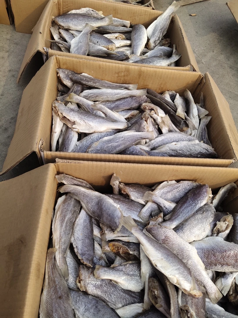 去头黄花鱼黄姑鱼咸鱼海鱼