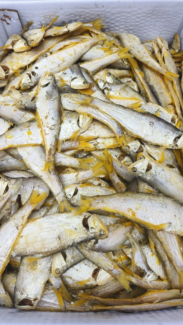 渤海湾熟鱼锅包鱼熟鱼大马口鱼白片鱼
