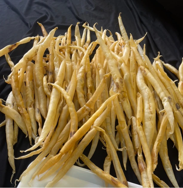 【忠盛滋补品】广东南澳深海鳗鱼胶，老腊厚肉、营养丰富