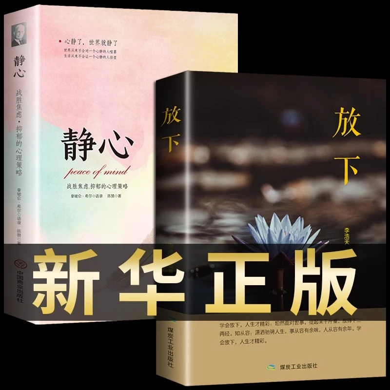 放下 静心书籍正版人生没有什么不可以放下做积极向上乐观的人