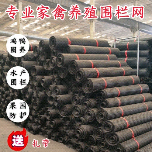 加厚塑料养鸡围栏网养鸭养殖网防护隔离网玉米网栅栏网果园圈地网