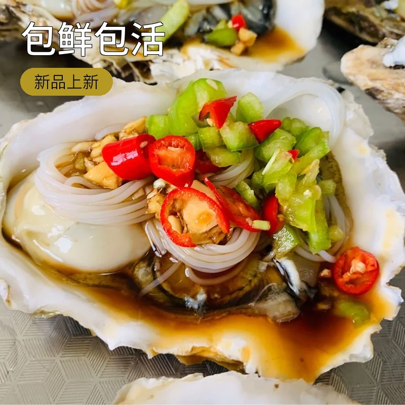 【顺丰冷链4斤装】山东源头生蚝鲜活特大牡蛎海蛎子新带壳包活包肥