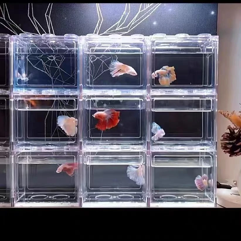 泰国斗鱼专用桌面积木鱼缸斗鱼专用缸亚克力鱼缸创意小型高透