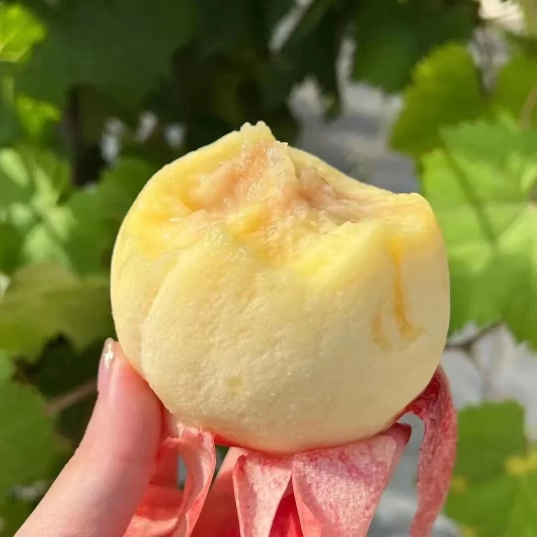 【脆软两吃】新鲜葡萄现摘正宗陕西水蜜桃纯甜爆汁撕皮软糯多汁