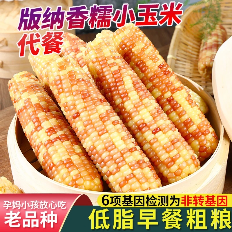 西双版纳花糯小玉米 真空独立包装10支单支150-200g(整箱3.5-4斤）