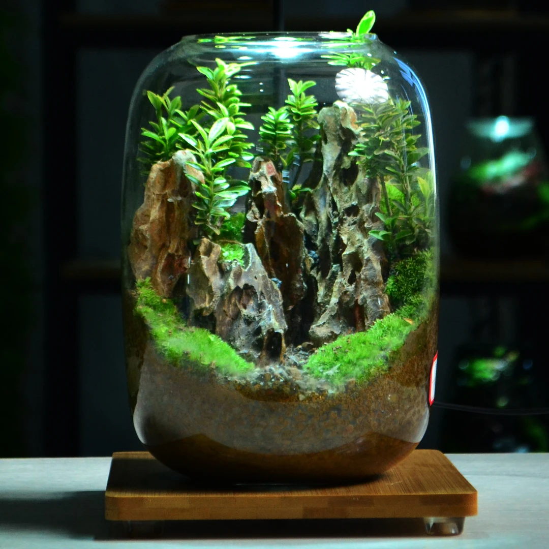 B16【山野逸境】烟灰色大肚缸款桌面苔藓微景观懒人绿植送礼精品