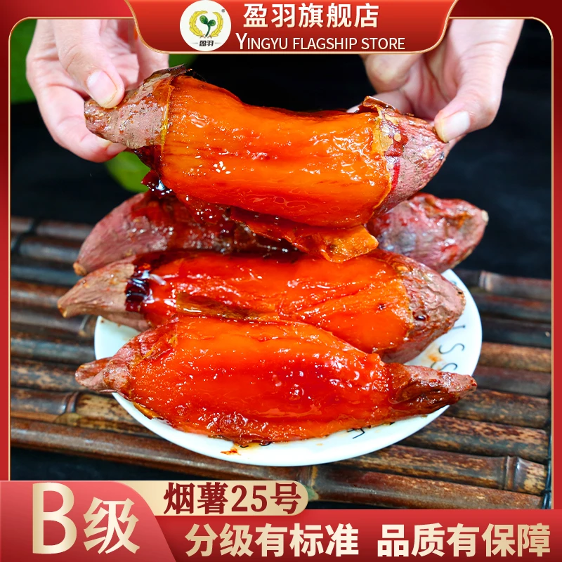 盈羽B级-山东烟薯25号蜜薯3斤5斤9斤流油稀瓤糖心坏果包赔烤地瓜