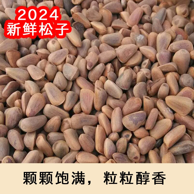 生松子（塔干子）850颗粒左右--长白山2024年天然红松子