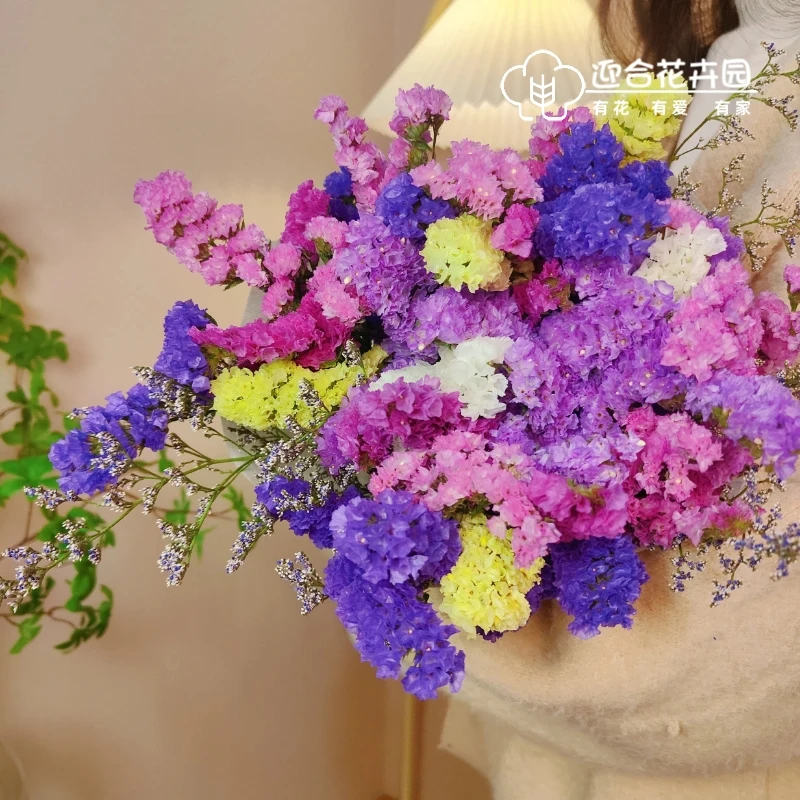 【买一束送一束】大束勿忘我半干花花束现场直播卖云南基地直发
