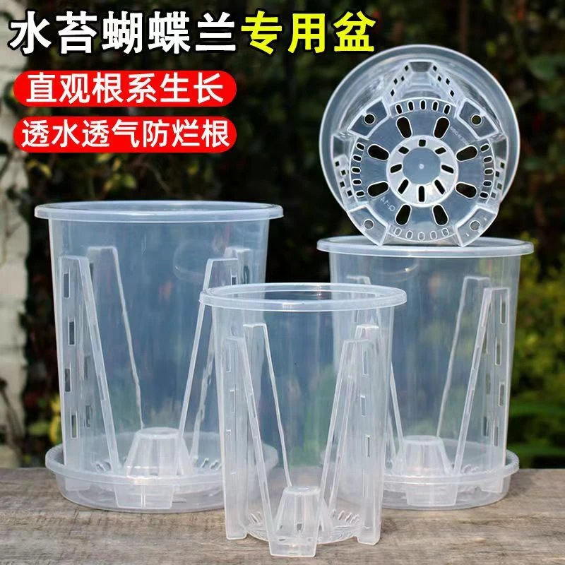 透气青山控根盆蝴蝶兰花专用花盆塑料花盆兰科透明加厚花盆家用