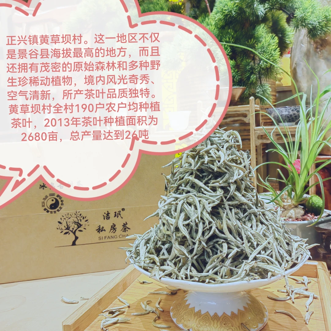 云南白茶白毫银针头春