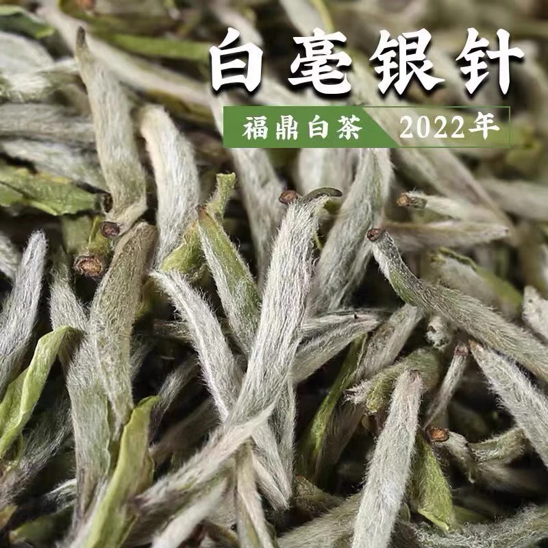 福建高山白茶2022年首采白毫银针 毫香醇厚耐泡 礼盒福鼎