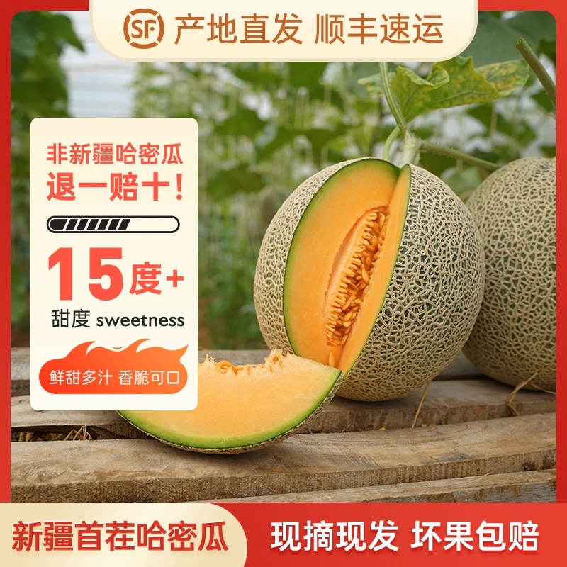 新疆哈密瓜正宗西州蜜25号吐鲁番火焰山哈密瓜网纹蜜瓜新鲜现摘