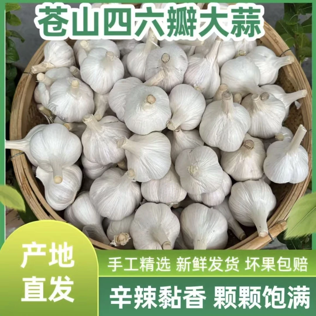 【直播福利】A兰陵四六瓣大蒜2025新半苍山大蒜大蒜头批发