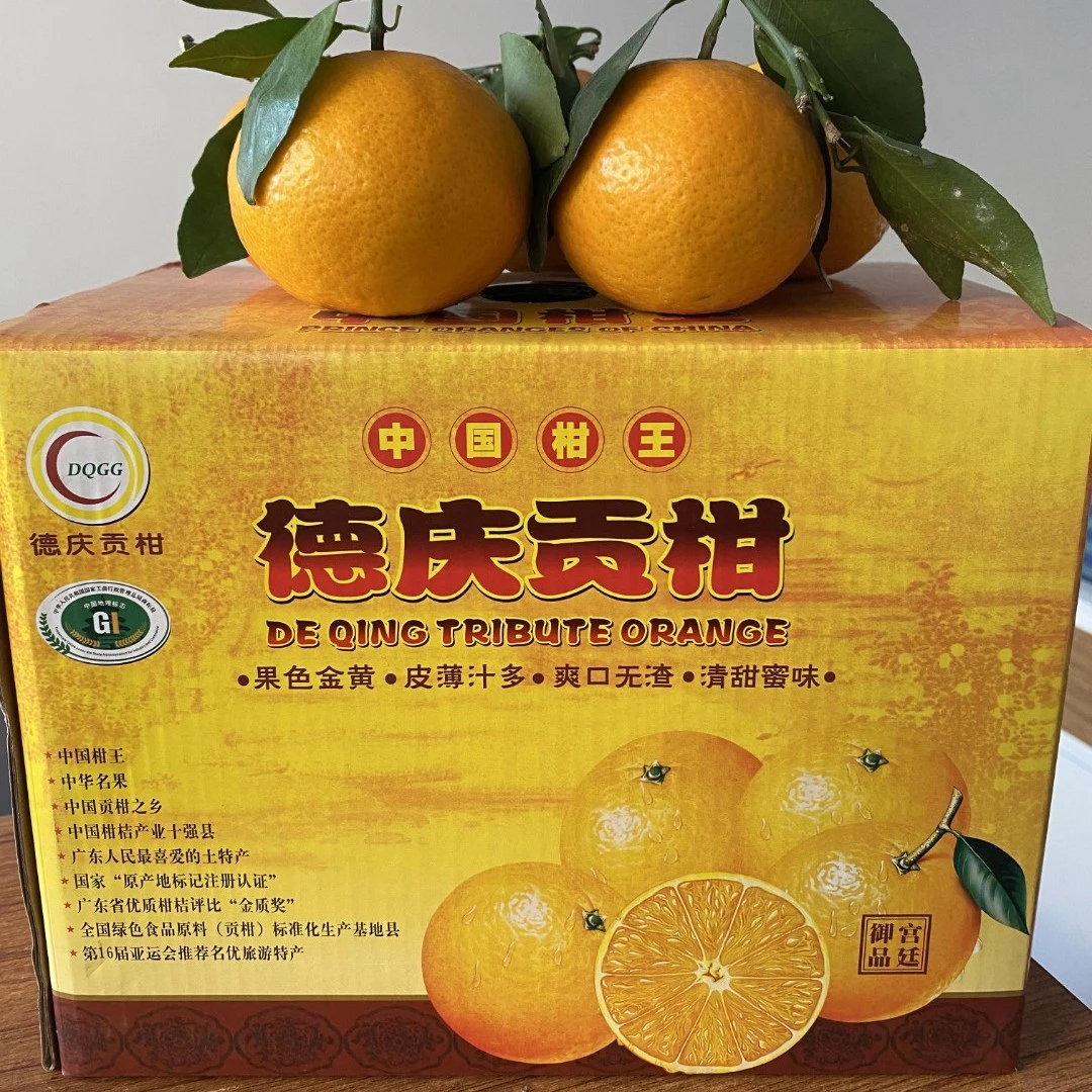 正宗广东德庆皇帝柑贡柑现摘现发新鲜孕妇水果5斤大果礼盒装包邮