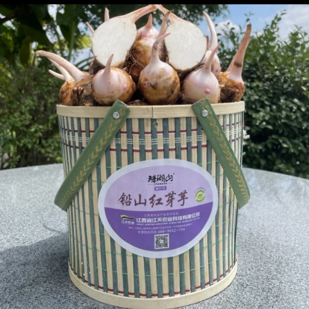 正宗铅山红芽芋5斤竹篮礼盒装原产地基地直发新鲜品质口感软糯